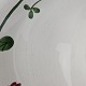 sub: 4