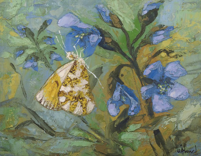 Ulf Ålund (born 1948), Swedish artist, oil on canvas.
Aurora butterfly in a flower landscape.
