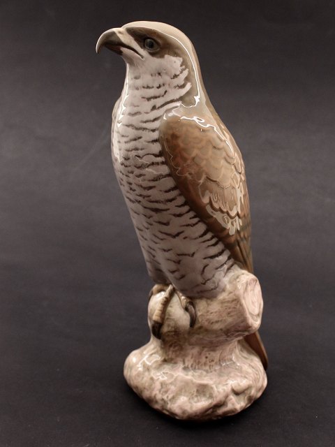 Bing & Grøndahl  sparrowhawk 1892