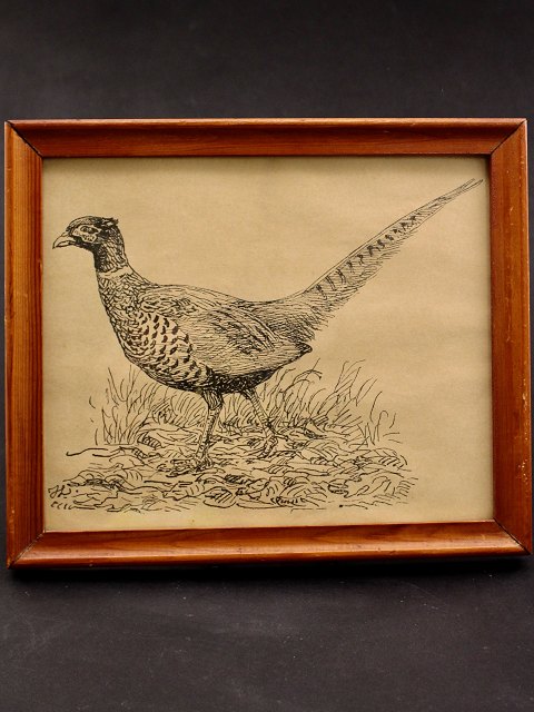 Johannes Larsen print with pheasant