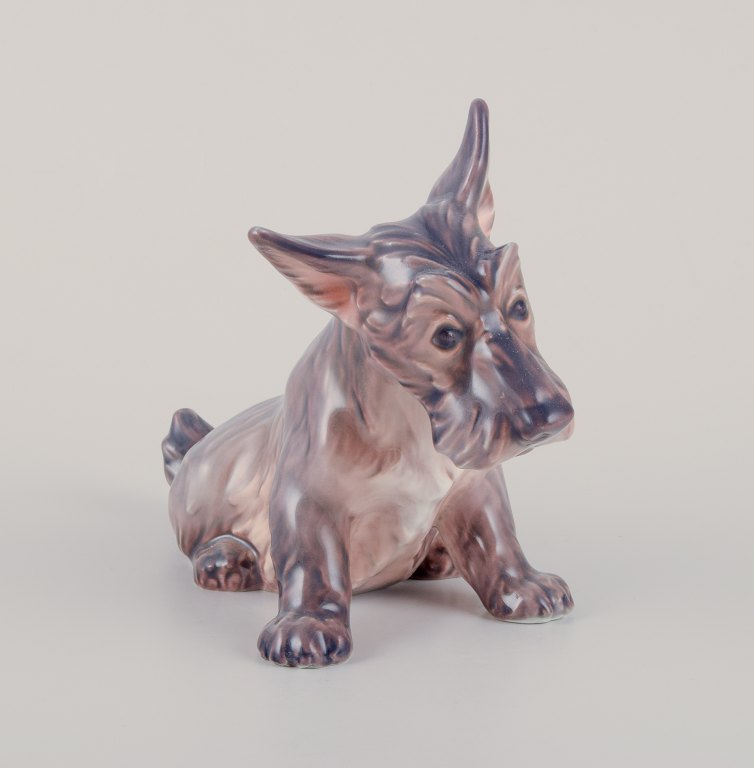 Dahl Jensen, porcelain figurine of a seated Scottish terrier.