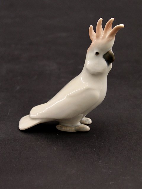 B&G cockatoo no. 2178
